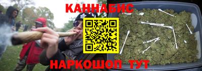 мдпв Пугачёв