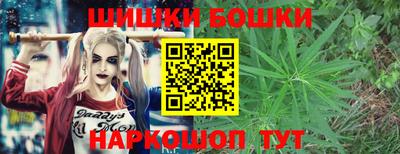мдпв Пугачёв