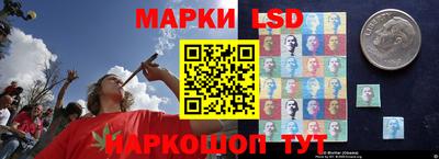 мдпв Пугачёв